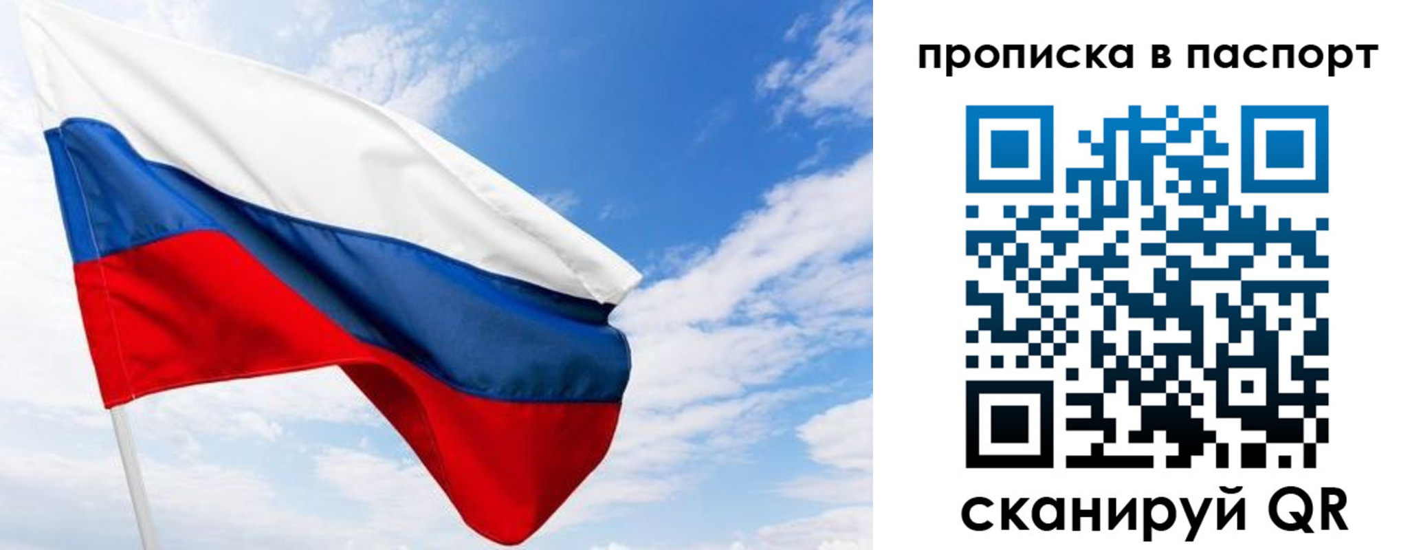 прописка поиск в Домодедово